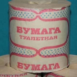 Путин призвал россиян не покупать продукты впрок