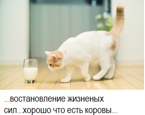 Кроха