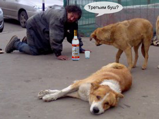 Лучший друг человека.... или наоборот!?