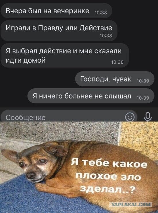 Баянисто-небаянистый юмор. 7.10.20.