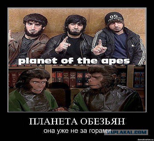 Русским вход запрещён !