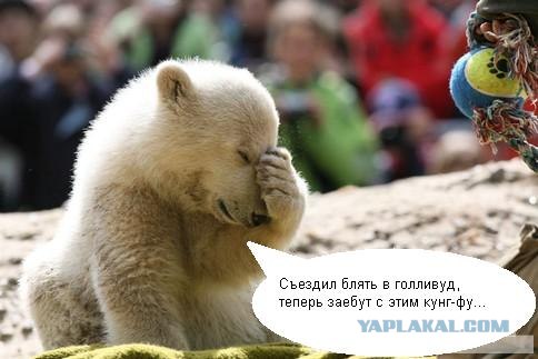 Сибирский ответ Кунг-Фу панде