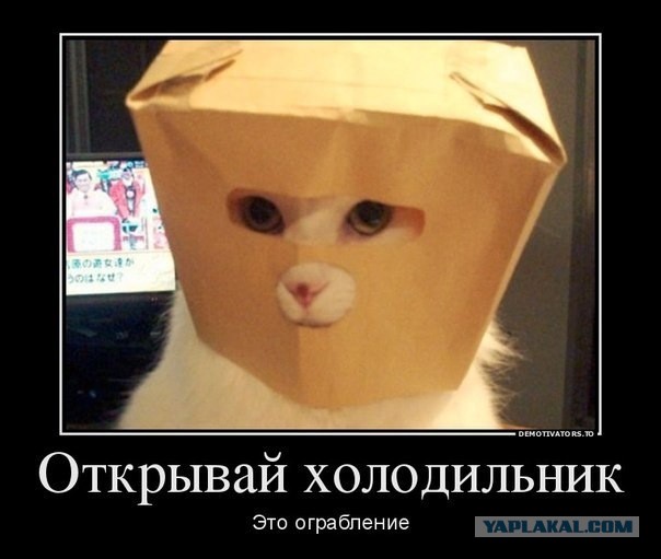 Так себе картинки 11.07.21