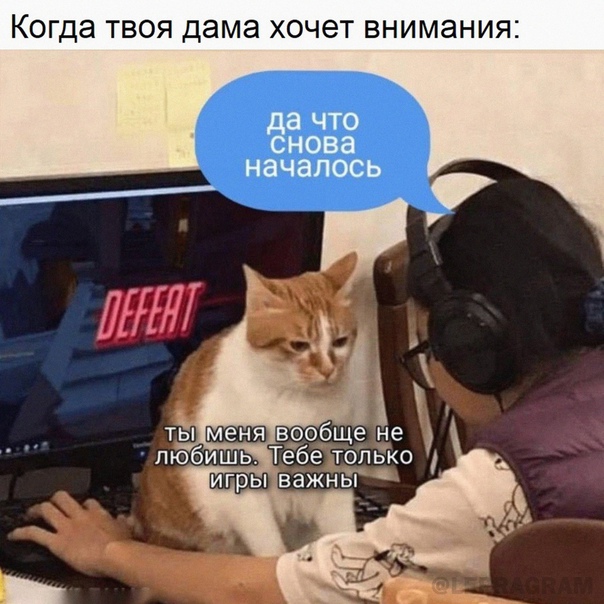 Весёлый полтишок 23.07