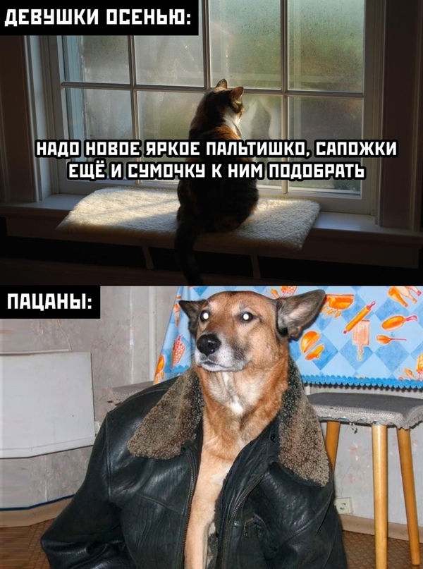 Весёлый полтишок 3.09
