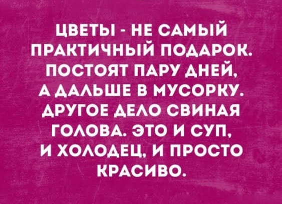 16107971.jpg