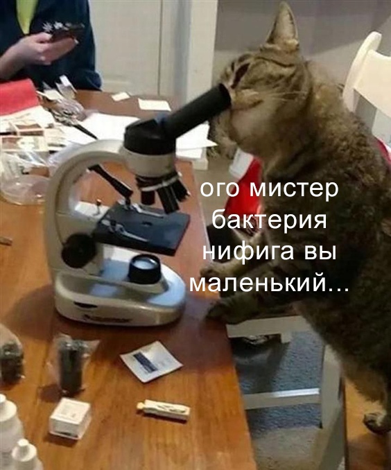 Новогодние и разные картинки