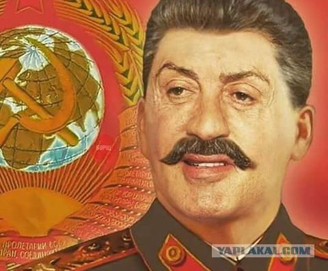 Коммунисты из Китая собираются клонировать Сталина