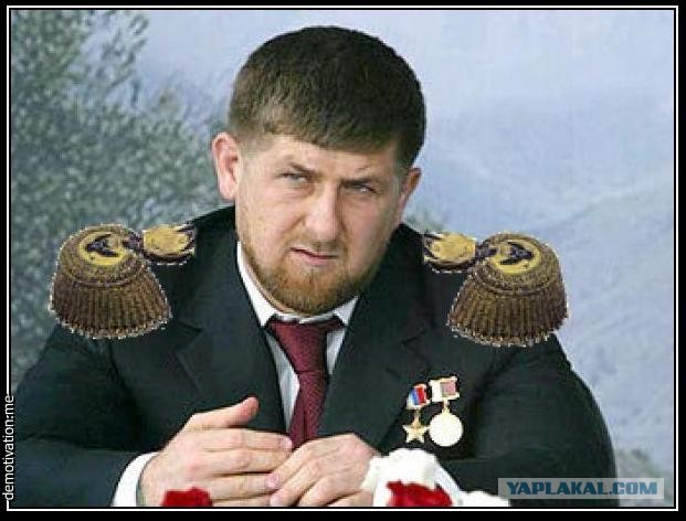 Такой масштаб нельзя игнорировать» Больше 100 тыс. человек подписали петицию с требованием отставки Рамзана Кадырова