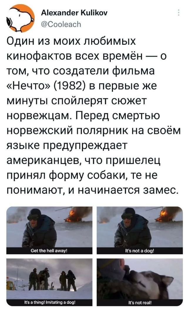 Скриншоты, комментарии, картинки 22.06.22