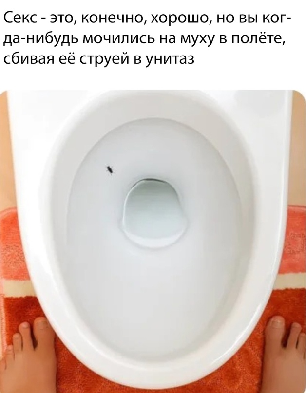 Весёлый полтишок 29.06.22