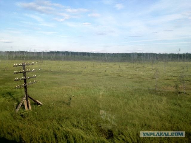 Москва-Воркута.Или туда и обратно.