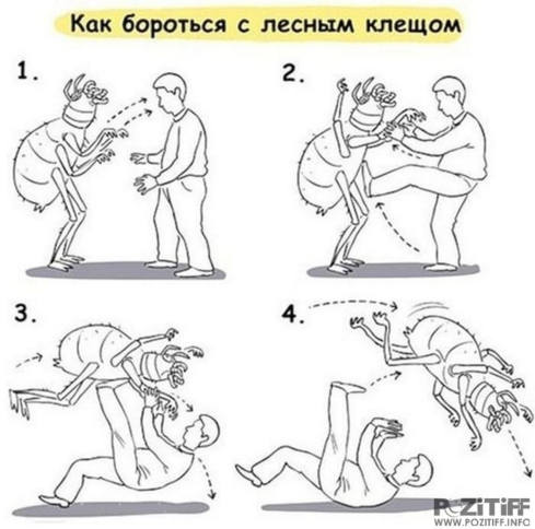 Ничего сложного, казалось бы смешно