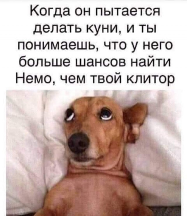 Немного картинок для настроения - 131
