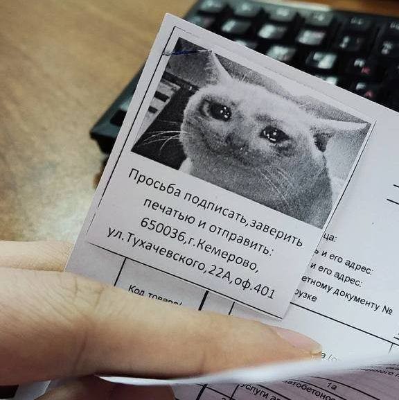 Народная меДИЧина 7016