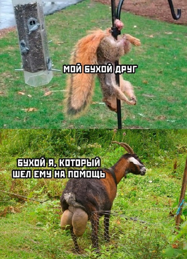 Немного картинок для настроения - 129