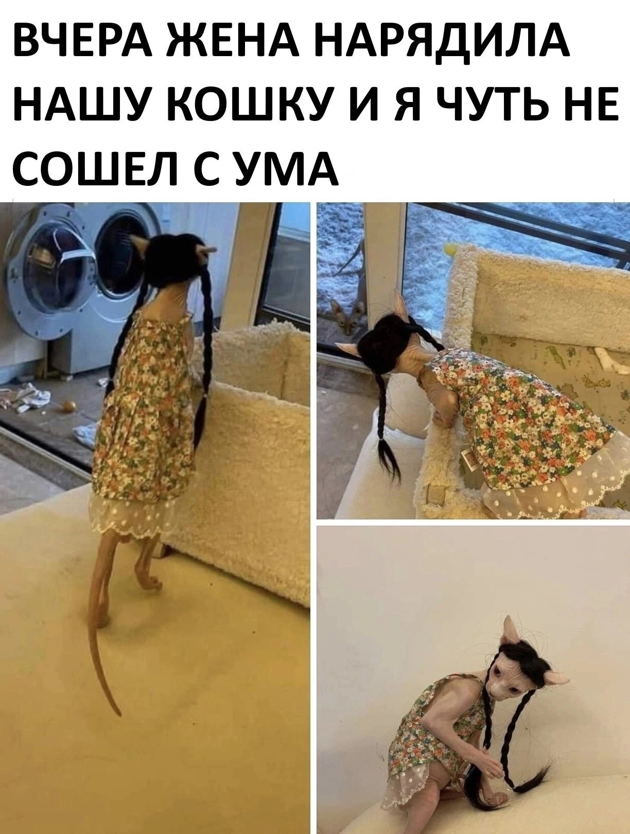 Мемы про мужа и жену смешные