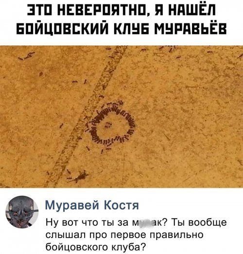 Так себе картинки 07.05.23