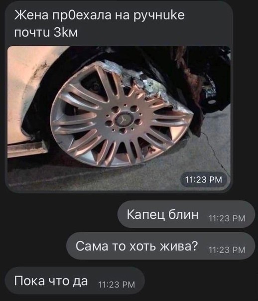 Картинки из Дристоля