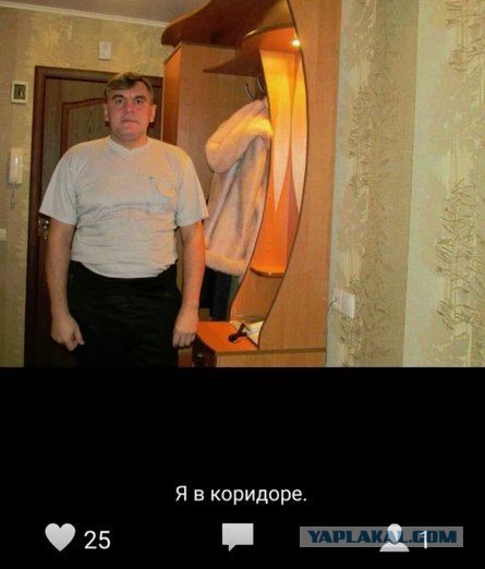 Красивые фото ЯПа