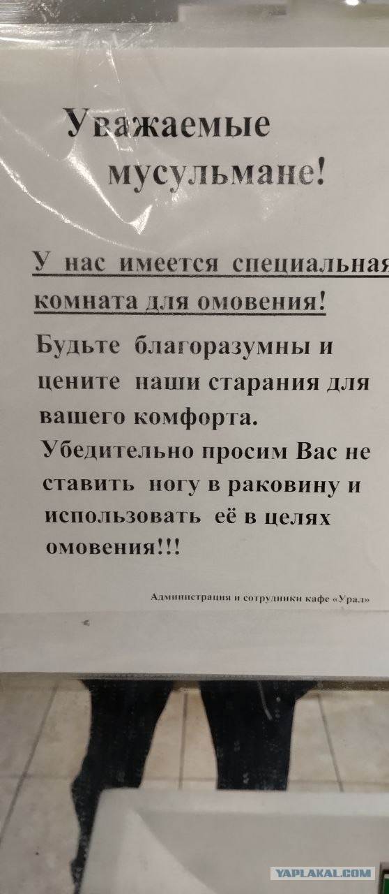 Брезгливым пи*арасам посвящается