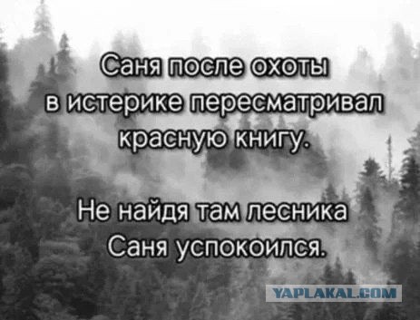 Сходил блть за ягодой