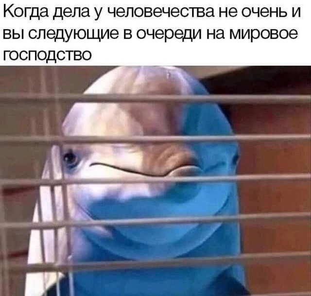 Так себе картинки 30.09.24