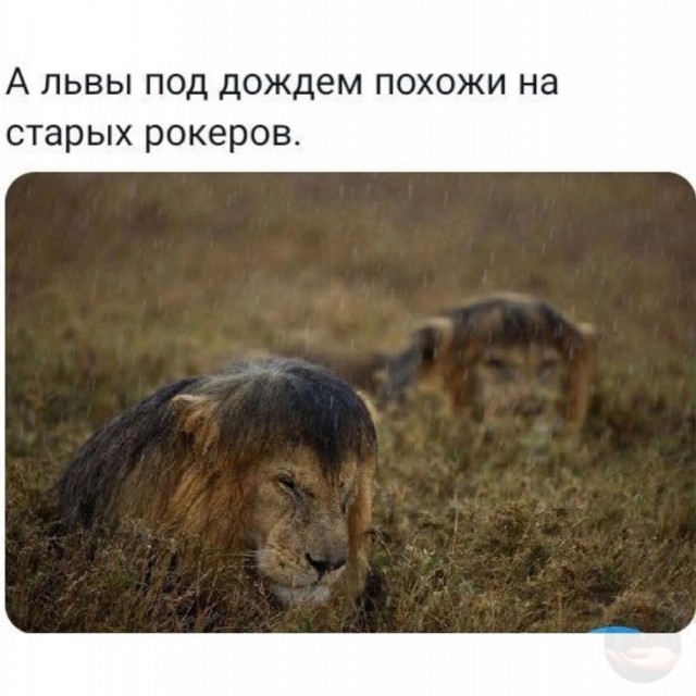 Веселые картинки во вторник (03.12)