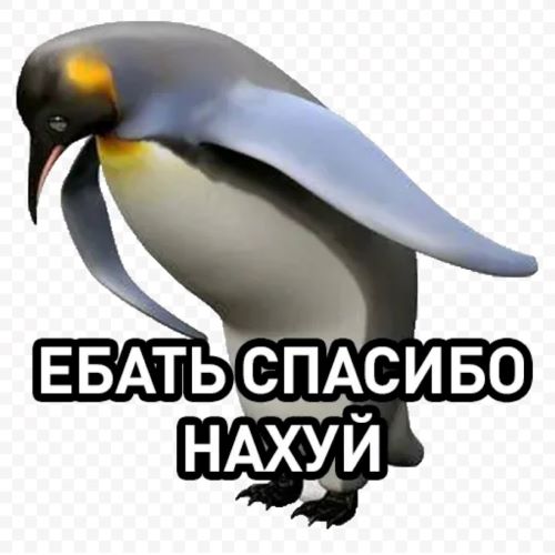 Заседание суда