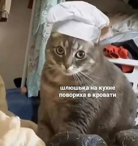 Папка с ответами