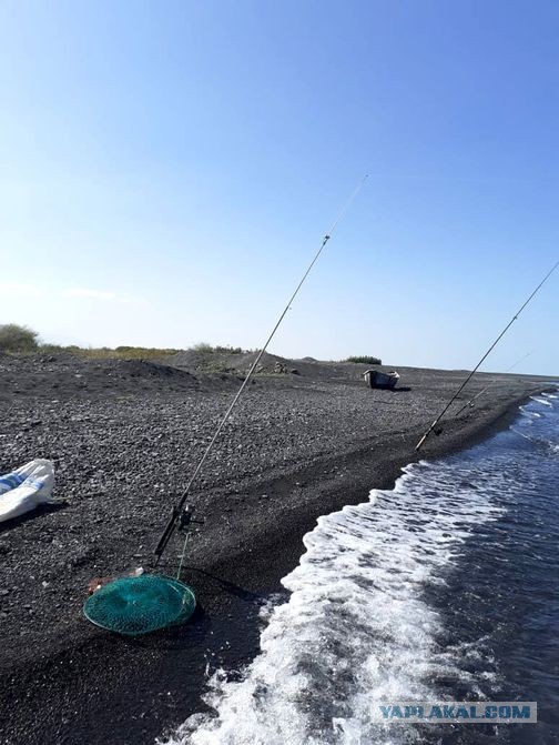 Алаколь. Всё включено отдыхать хорошо, а дикарями лучше
