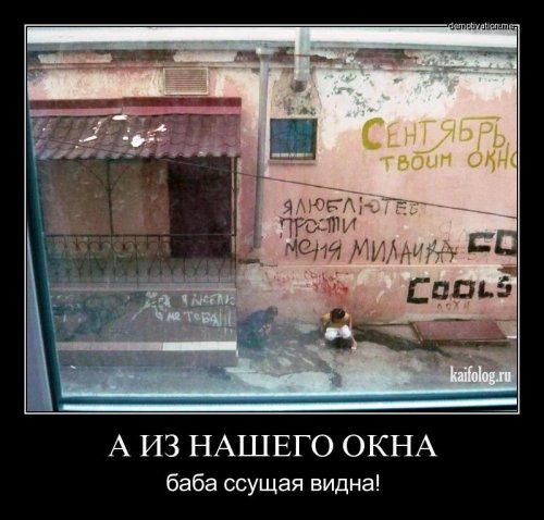 А у нашего окошка экскаватор плавает немножко