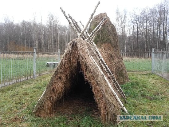 В России планируют строить многоэтажные дома из дерева