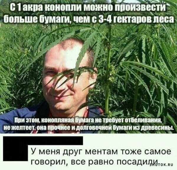 По Марксом местный житель хранил у себя более 2 кг марихуаны