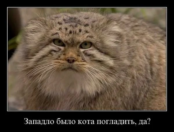 Сегодня Мeждунapoдный дeнь мaнулa