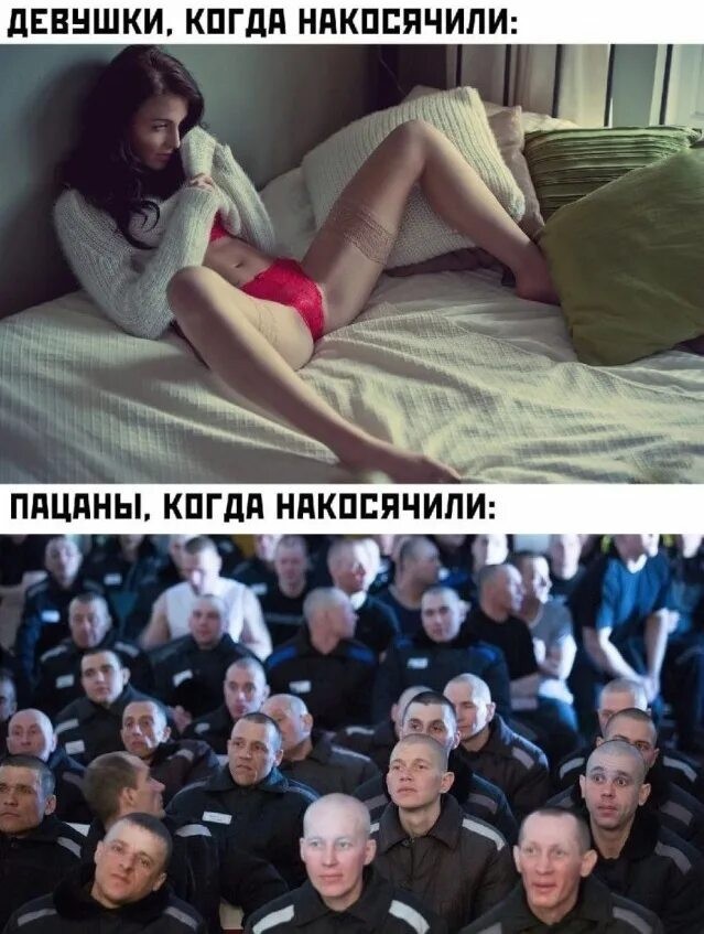 Картинки без критики