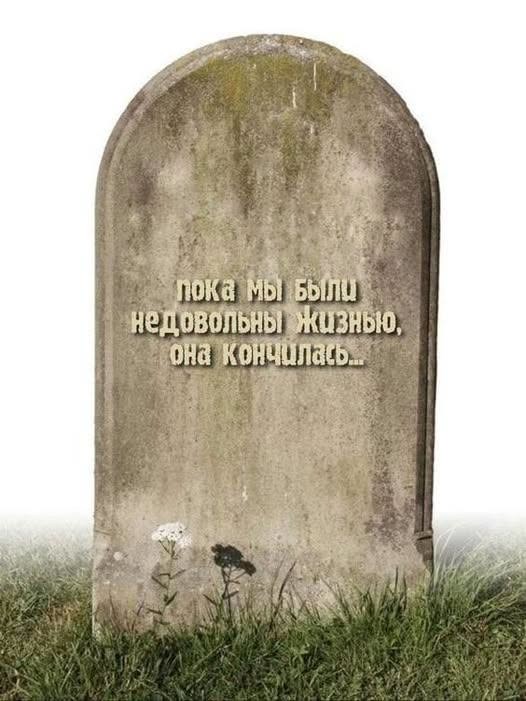 Веселые картинки в маленькую пятницу (15.07)