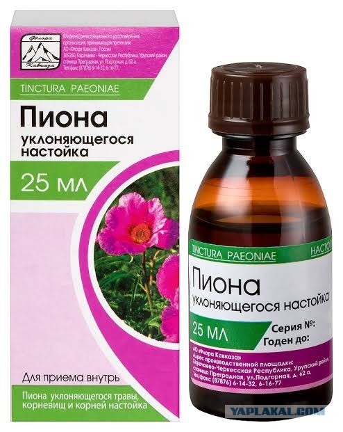 Руминация или каша в голове.
