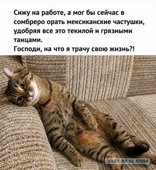 Картинки на субботу
