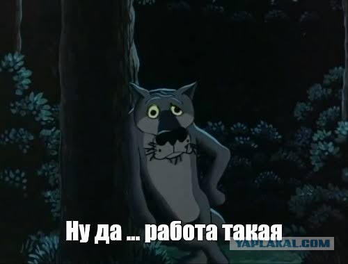 Штатный патриот возвращается домой со смены