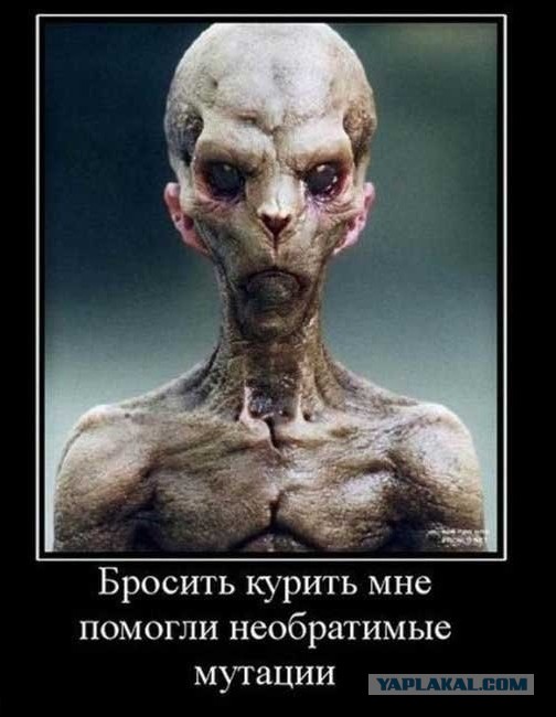 Прикалдэски