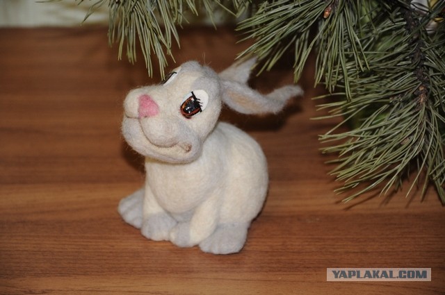ЯП и КОТЭ