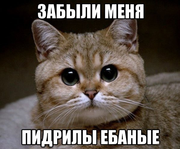 Я тебе говорил, что такое безумие?
