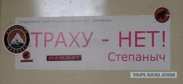 Картинки, объявления - 2