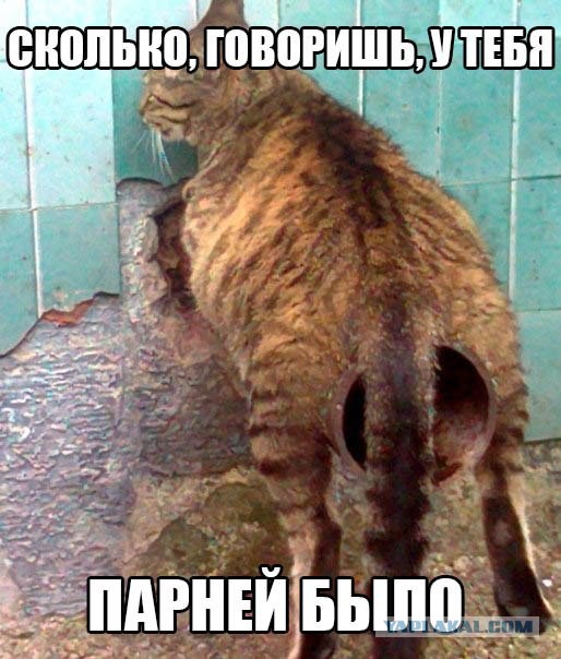 Видать очень насолила бывшая
