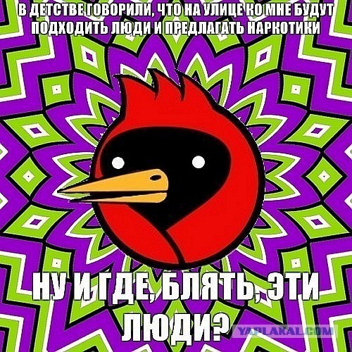 Когда вы плюсуeтe тему в платине