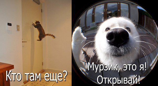 Немного позитива на пятницу.
