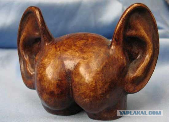Какие у Вас уши?