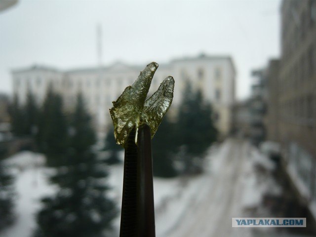 Прозрачные зубы