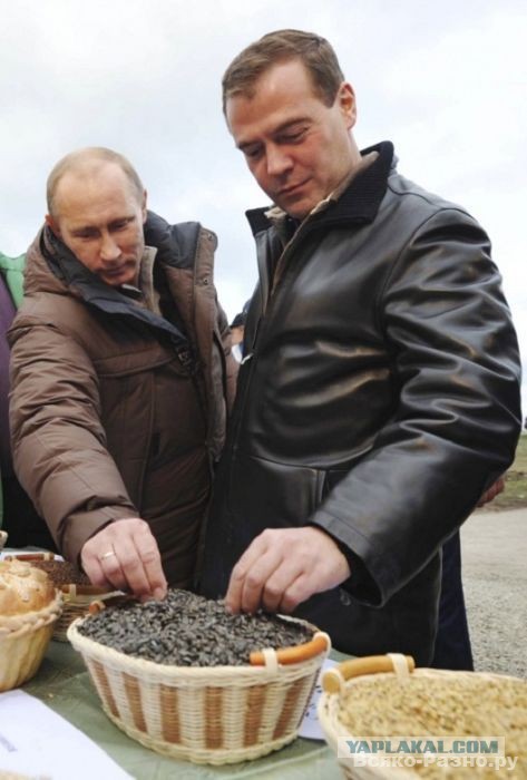 Ускоренный рост цен на запрещенные продукты